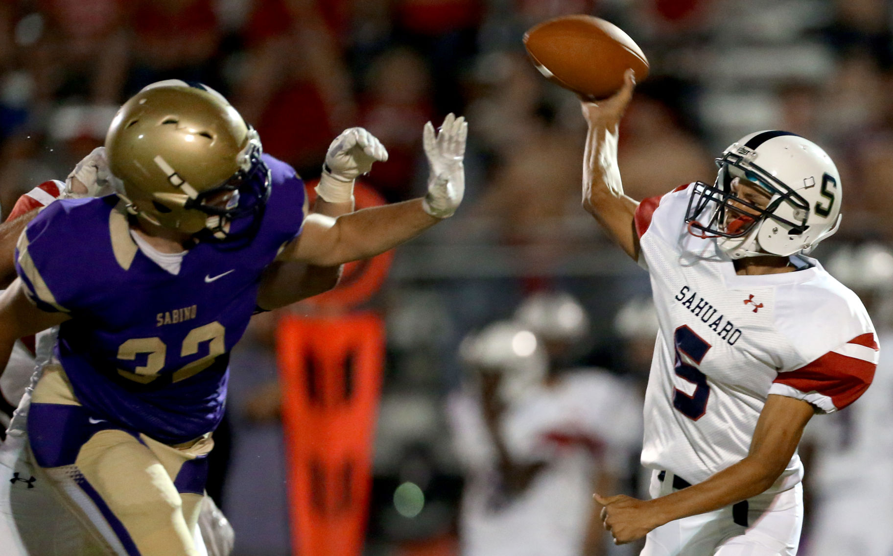 Sabino vs Sahuaro